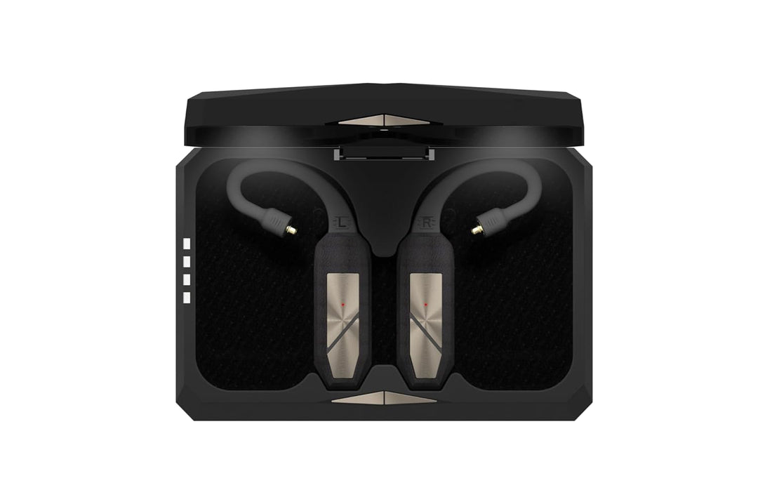 iFi - GO Pod - HD Bluetooth DAC &amp; Kopfhörerverstärker für IEMs. Hi-Res 96kHz/24bit LDAC - Unübertrof