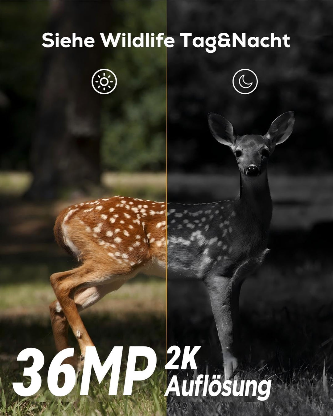 iZEEKER Wildkamera 20MP 1080P, Jagdkamera mit unsichtbaren Infrarot 940nm LEDs, IP66 Wasserdicht Bew