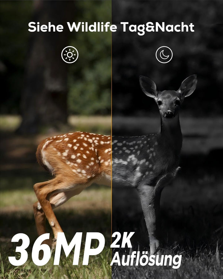 iZEEKER Wildkamera 20MP 1080P, Jagdkamera mit unsichtbaren Infrarot 940nm LEDs, IP66 Wasserdicht Bew