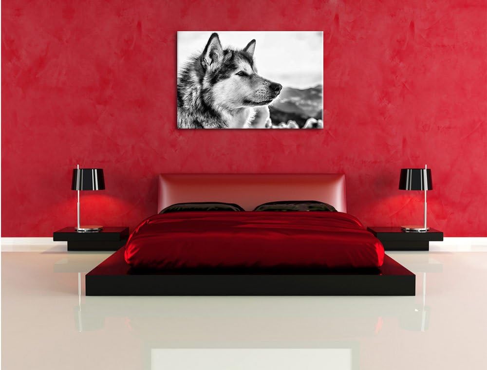 Pixxprint Süsser Husky im Schnee als Leinwandbild/Grösse: 100x70 cm/Wandbild/Kunstdruck/fertig bespa