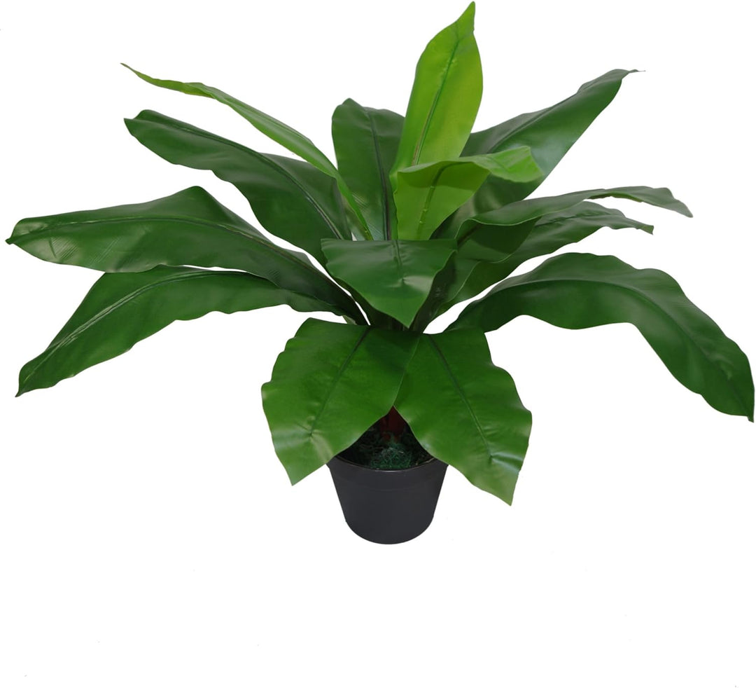 Leaf Künstlicher Vogelnest Farn, 50 cm, schwarzer Kunststofftopf, 50 cm Standard, LEAF-7081, 50 Cm S