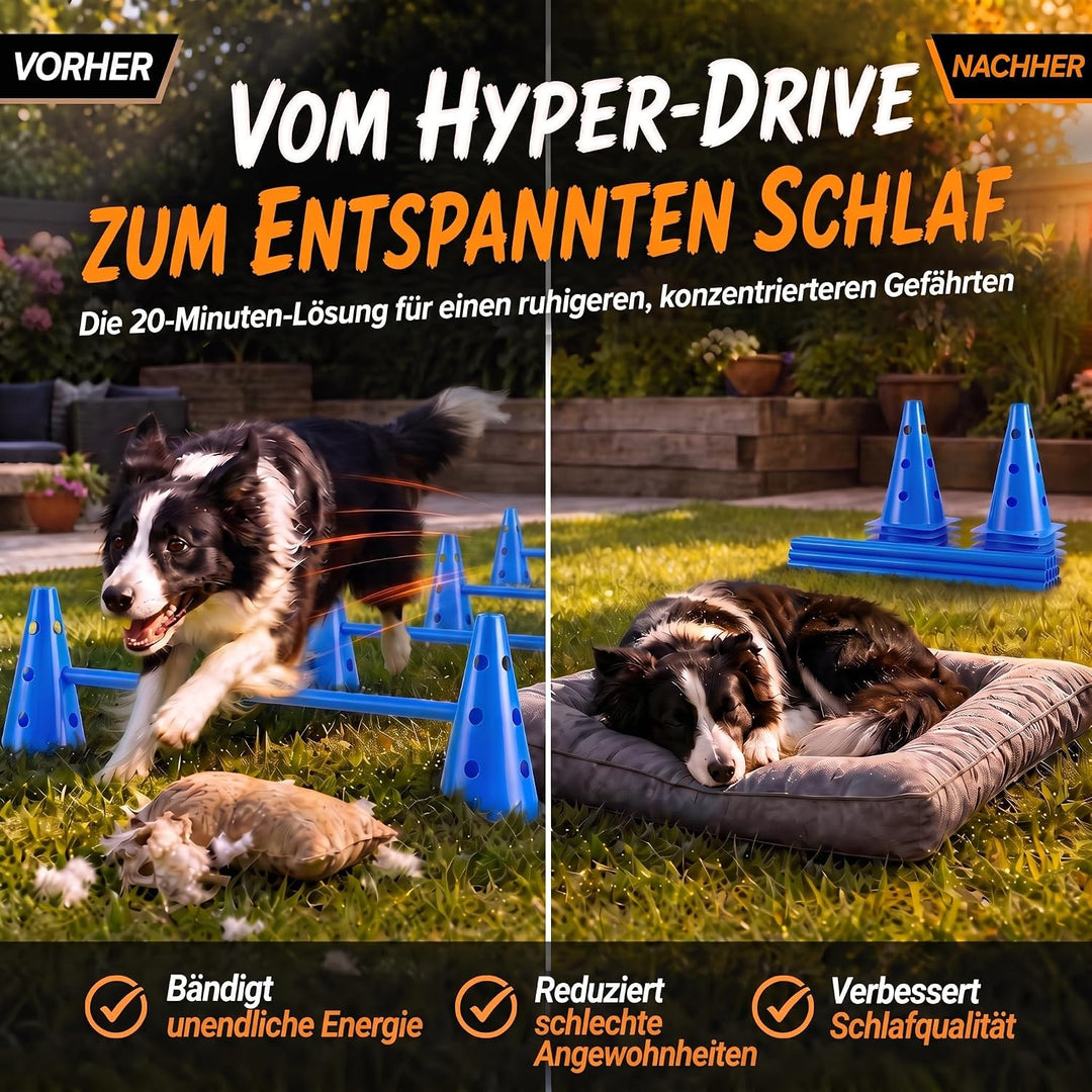 Hunde Agility Tunnel - Hundetunnel Spieltunnel; 500cm Agilitytunnel; Agility Zubehör-Set Hundehöhle