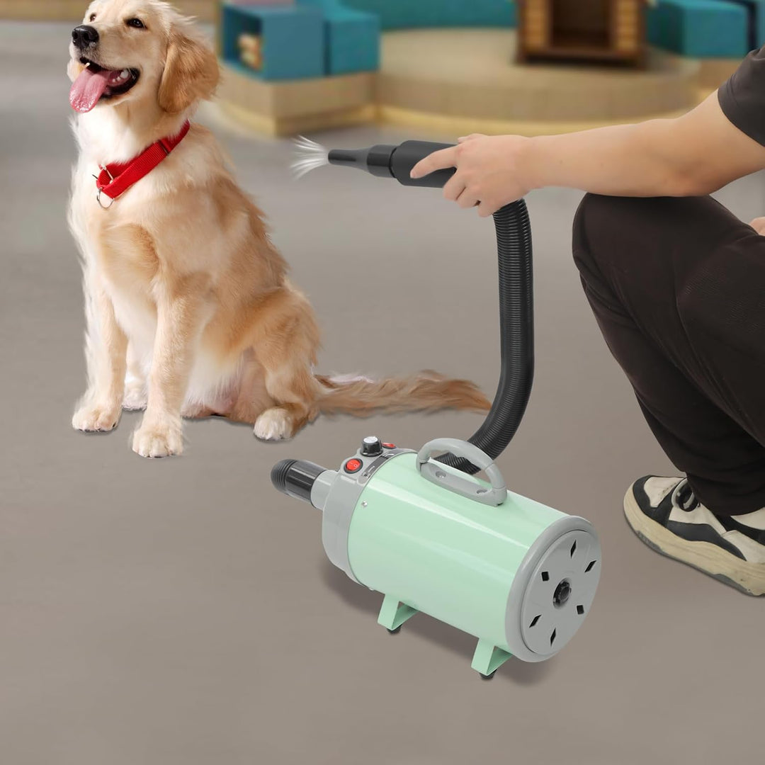 Hundefön Blower mit 4 Düsen - 2200W Profi Blower Hund, Leiser Hundepflege Trockner Gebläse für Hunde