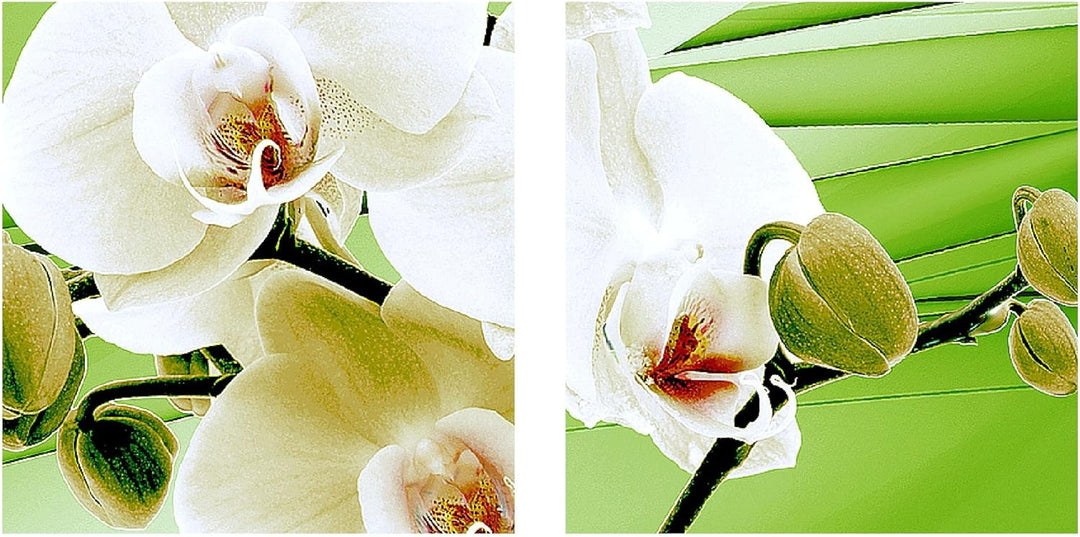 Runa Art Bild Modern Blumen Orchidee - Made in Germany - Wandbilder Abstrakt Grün 4 Teilig 202042c