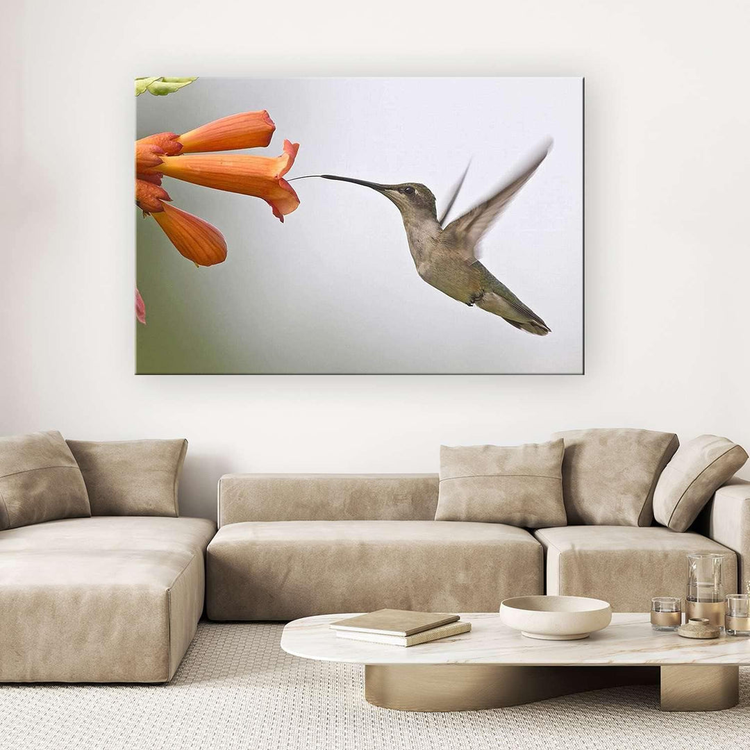 Startonight Bilder Netter Kolibri, Leinwandbilder Moderne Kunst, Vögel Wanddeko Kunstdrucke, Wandbil