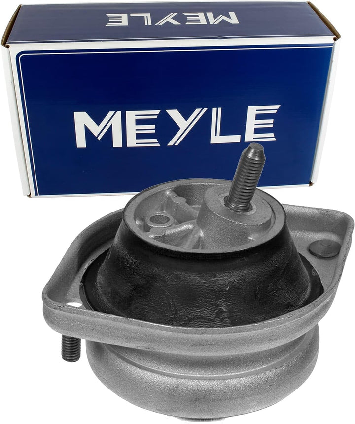 Meyle 300 221 1104 Lagerung, Motor