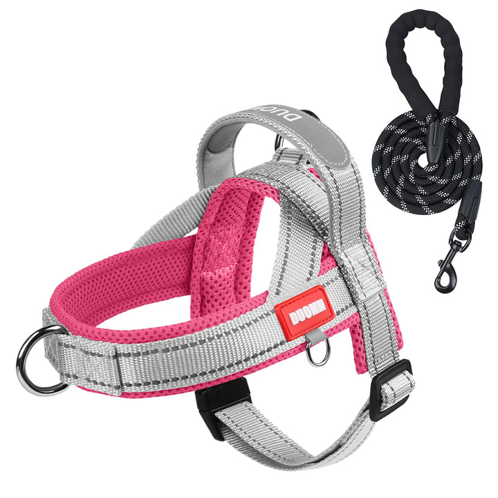 Hundegeschirr mit Leine für Mittelgrosse Kleine Hunde Welpen, Bunt Farbblock Geschirr, Mesh Gepolste