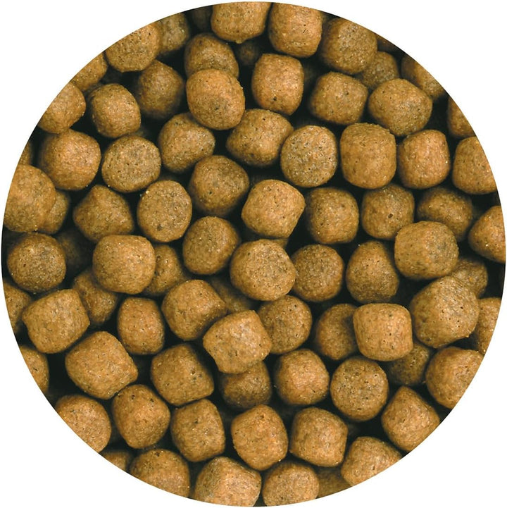 Saki-Hikari Balance Pellets 5 kg Floating M Koifutter (Basic Diet)