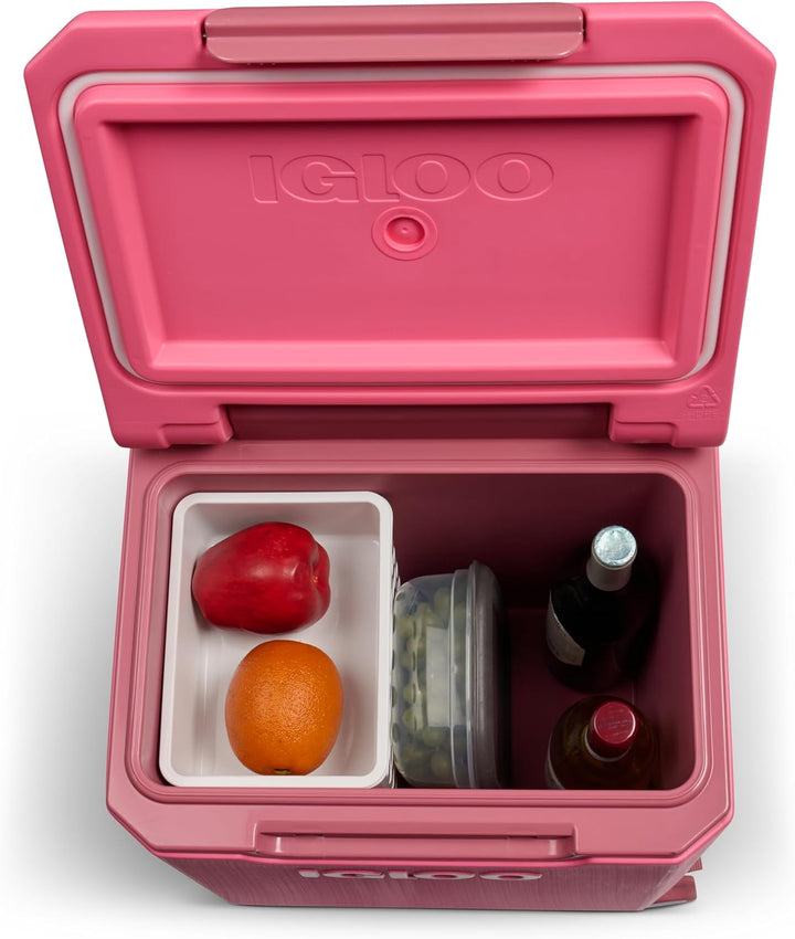 Igloo Tag Along 360 Kühler, drehbar Rosa, Rosa