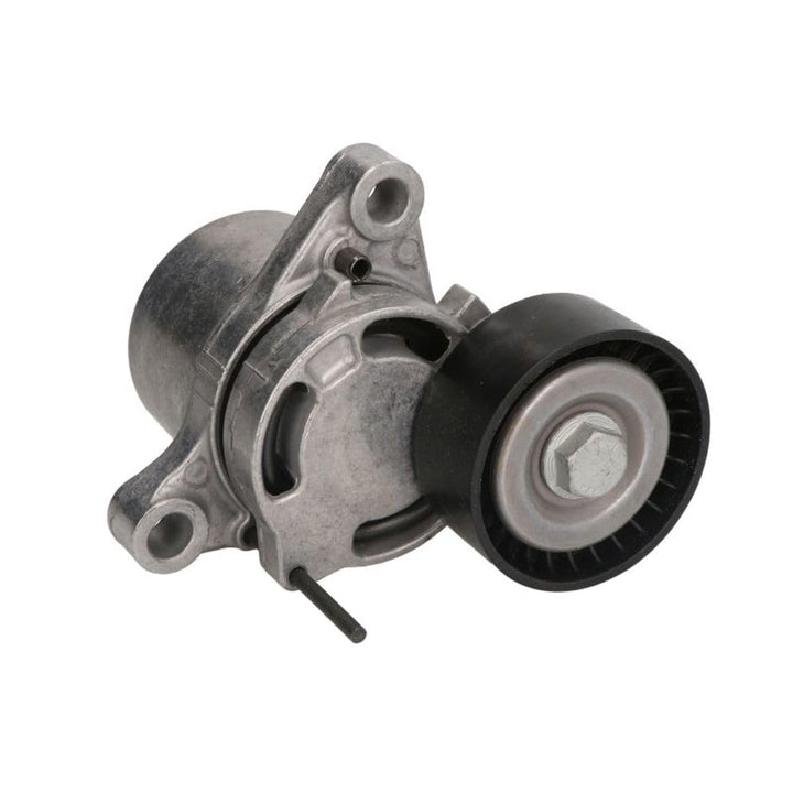 Spannrolle Keilrippenriemen von SNR (GA350.101) Rolle Riementrieb