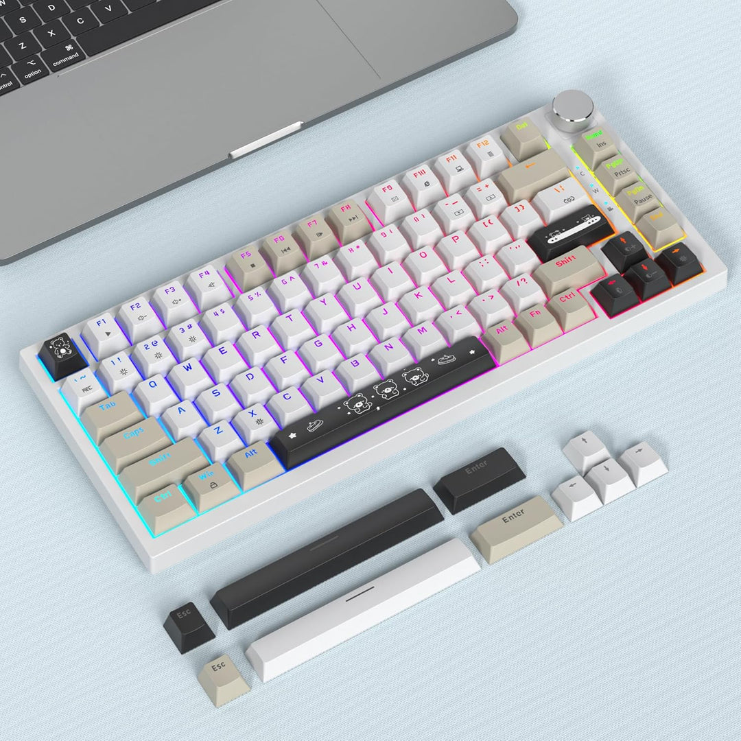 SOLIDEE Verkabelte Mechanische Gaming Tastatur 75 Prozent,hot-swap-fähige Mechanische Tastatur mit G