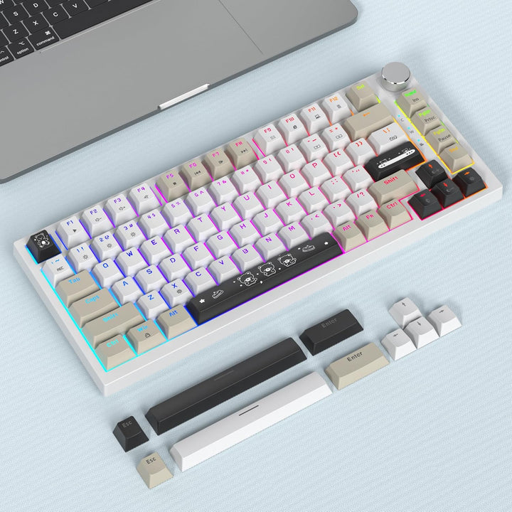 SOLIDEE Verkabelte Mechanische Gaming Tastatur 75 Prozent,hot-swap-fähige Mechanische Tastatur mit G
