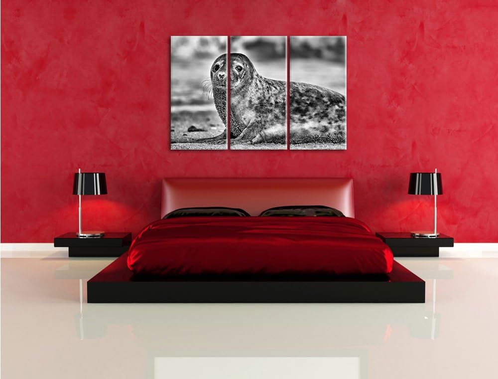 Pixxprint Monocrome, niedliche Robbe am Strand 3-Teiler Leinwandbild 120x80 Bild auf Leinwand