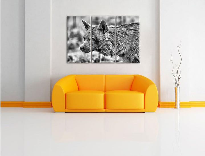 Pixxprint anmutige Hyäne im Wildgras als Leinwandbild/Grösse: 3 Teilig (120x80) cm/Wandbild/Kunstdru