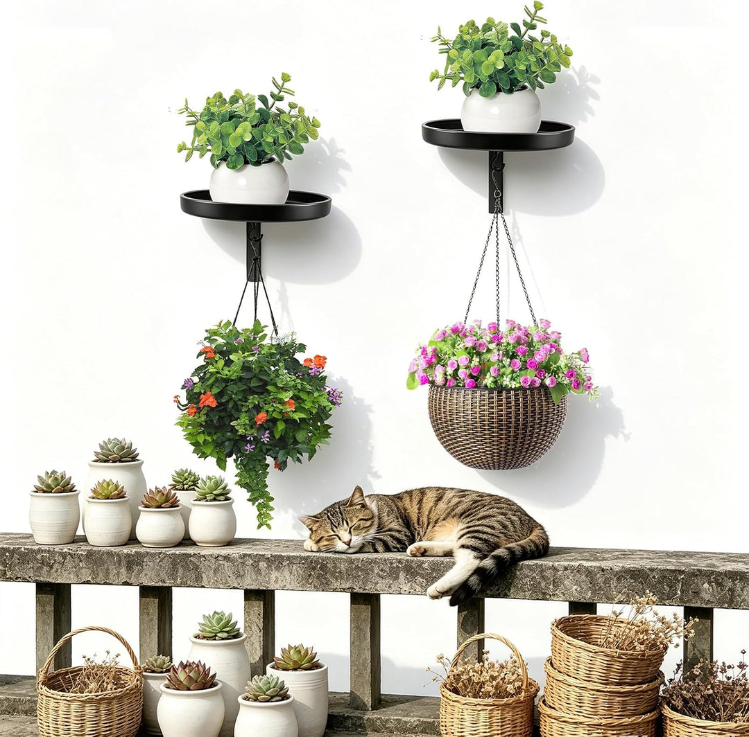 2 Stück Pflanzenständer Pflanzenregal, 20cm Blumenständer Metall Schwarz Wand mit Haken Pflanzenrega