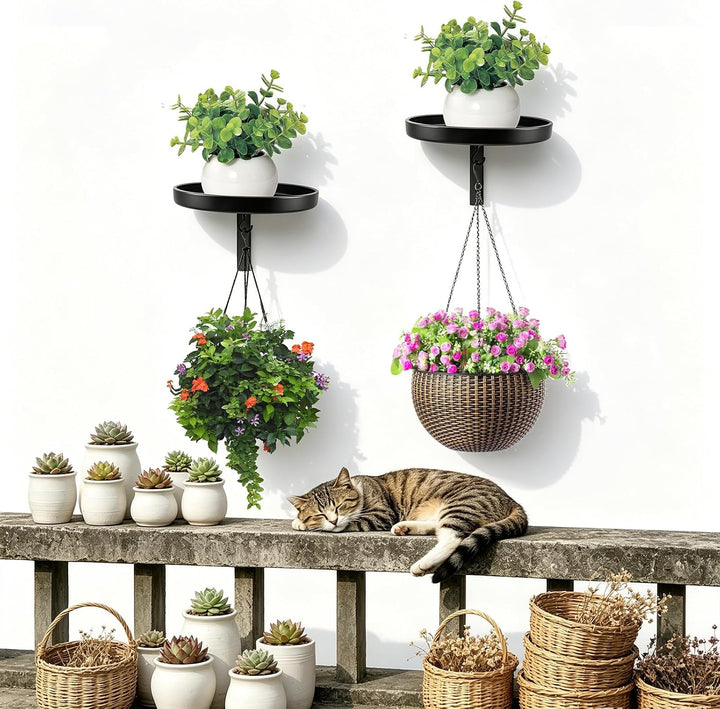 2 Stück Pflanzenständer Pflanzenregal, 20cm Blumenständer Metall Schwarz Wand mit Haken Pflanzenrega