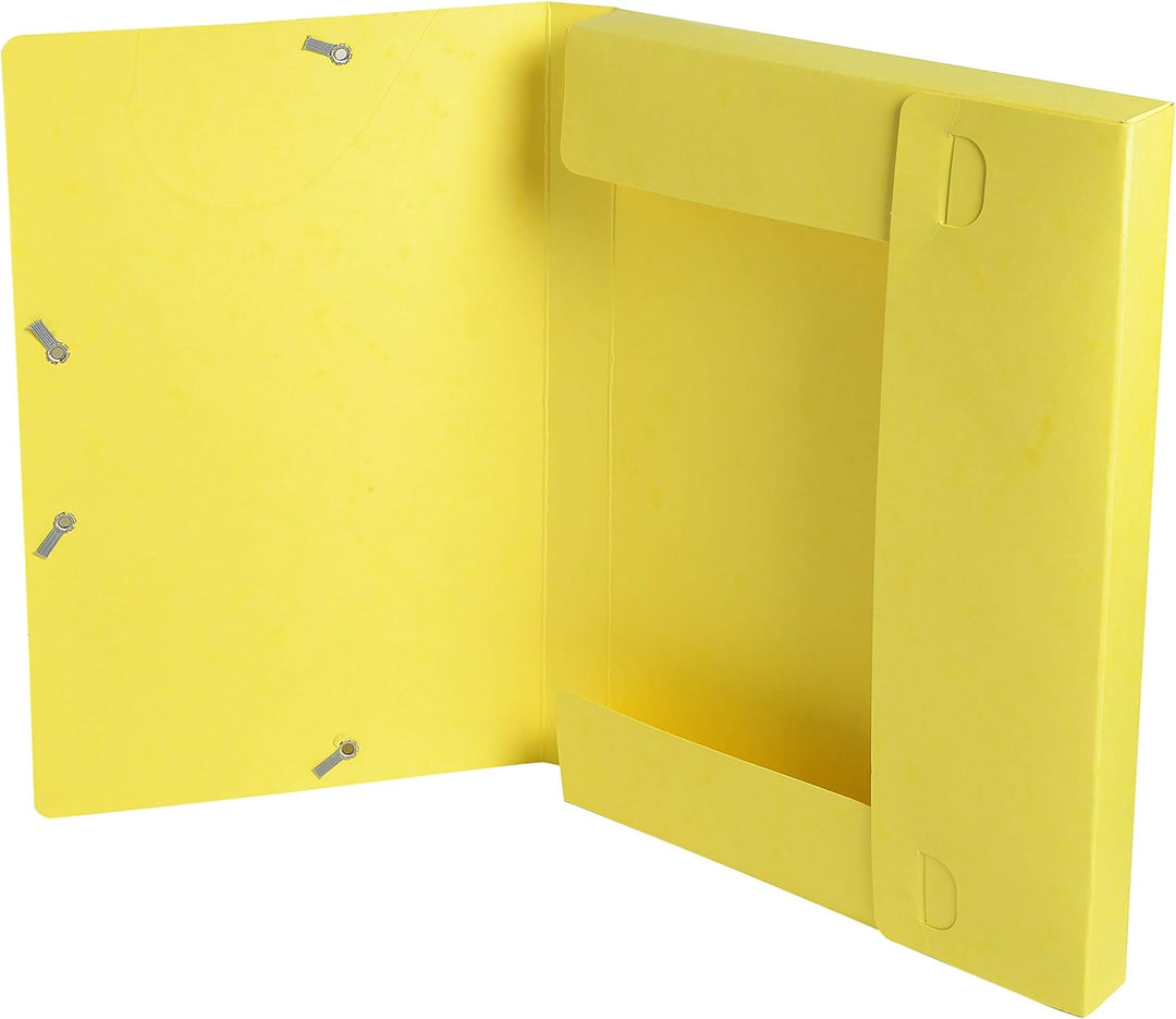 Exacompta 18506H 25er Pack Premium Sammelboxen mit Gummizug 25 mm breit aus extra starkem Colorspan-