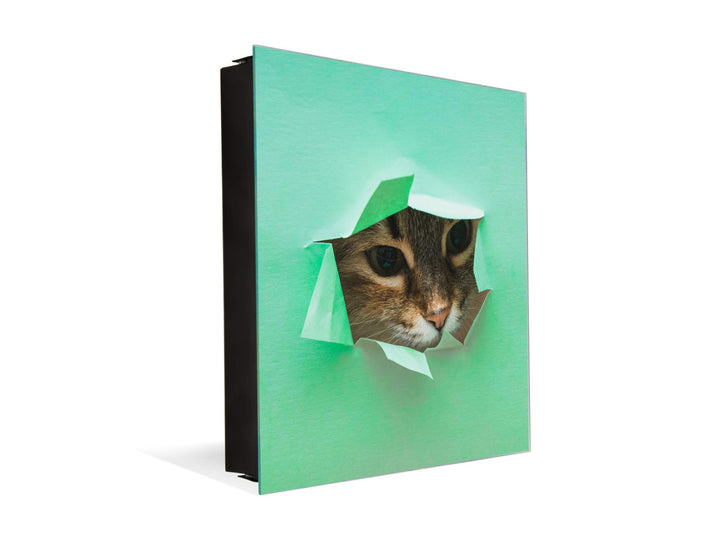 Concept Crystal Schlüsselkasten zur Wandmontage mit dekorativer Magnettafel K02 Flaumige Katze Recht