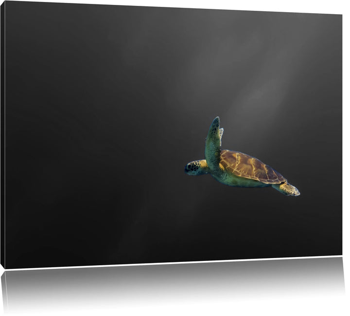 einsame Schildkröte im Meer schwarz/weiss Format: 100x70 auf Leinwand, XXL riesige Bilder fertig ger