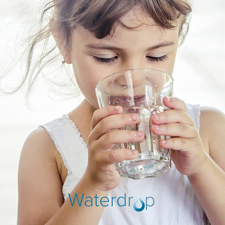 Waterdrop WD-PF-01A Plus NSF Zertifizierte Ersatzfilter für alle Waterdrop-Krugfiltersysteme mit ein