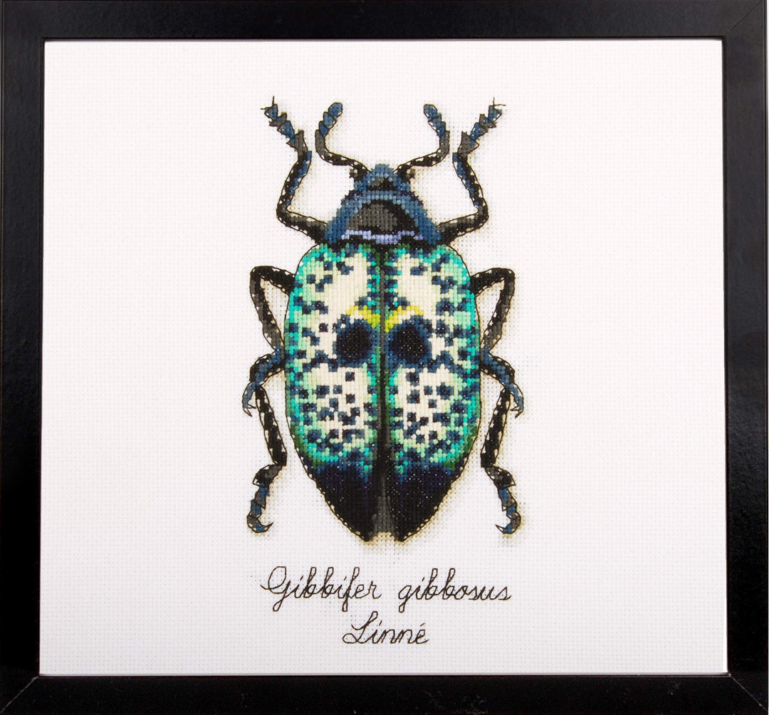 Vervaco Zählmusterpackung Blauer Käfer Aida Kreuzstickpackung zum Auszählen, weiss, 12 x 20 x 0,3 cm