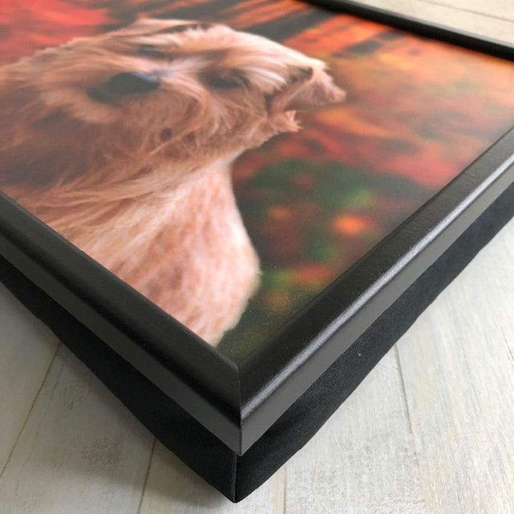 Knietablett - Lap Tray - Norfolk Terrier - Hund