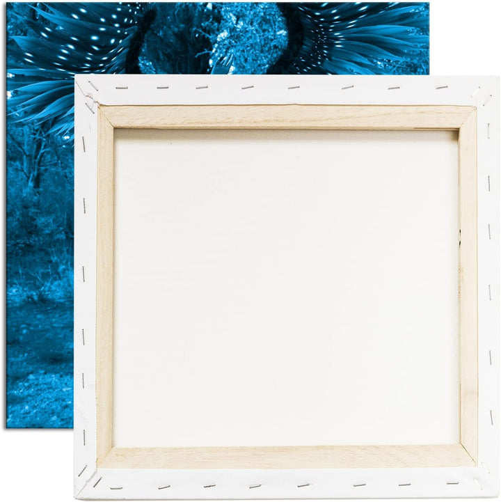 deyoli Feen Kriegerin Format: 70x70 Effekt: Monocrome Blau als Leinwand, Motiv fertig gerahmt auf Ec