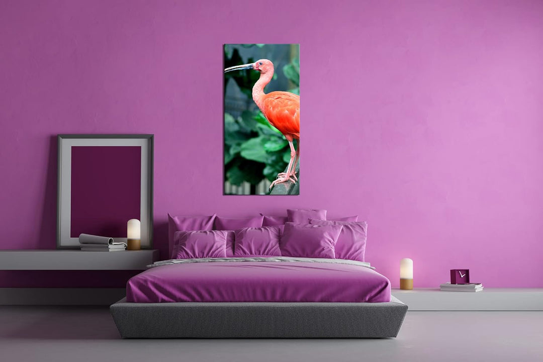 exotischer Vogel Panorama 60x30 cm als Leinwandbild, Motiv fertig gerahmt auf Echtholzrahmen, Hochwe