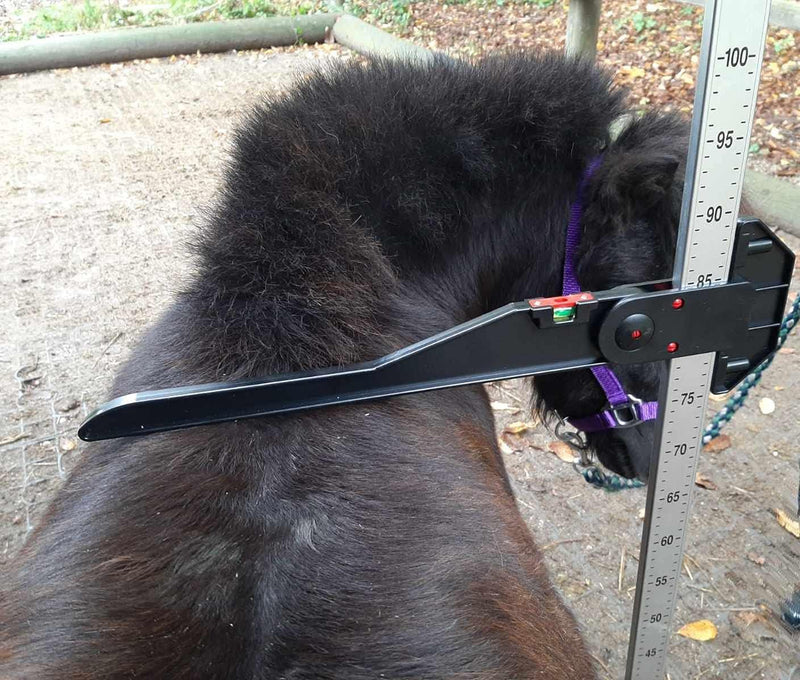 AMKA Messstock für Pferde Stockmass für Kleinpferde bis 100 cm mit Wasserwaage ALU Stockmass