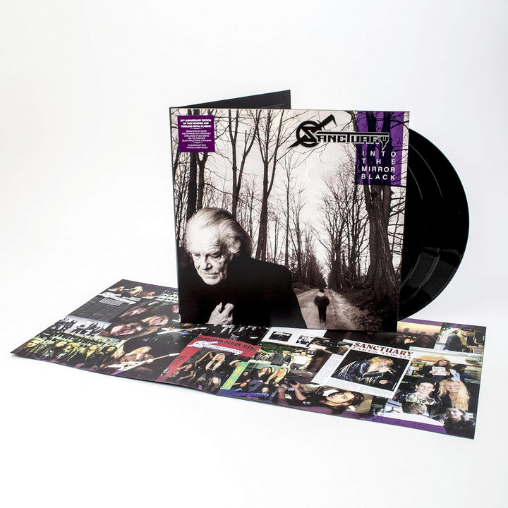 Into the Mirror Black (Gatefold black 3LP & LP-Booklet) [Vinyl LP], Vinyl