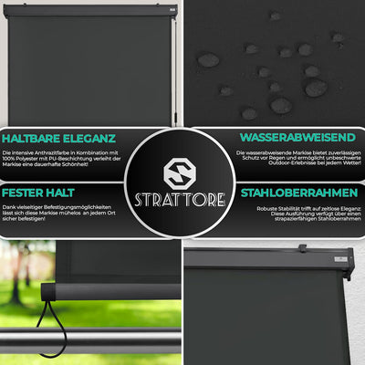 Strattore Ausziehbare Senkrechtmarkise Vertikalmarkise 120 x 250 cm - Markise mit Kurbel für Terrass