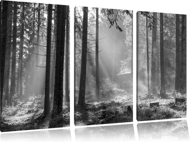Pixxprint Häuschen im Wald mit Sonnenstrahlen schwarz/weiss 3-Teiler Leinwandbild 120x80 Bild auf Le
