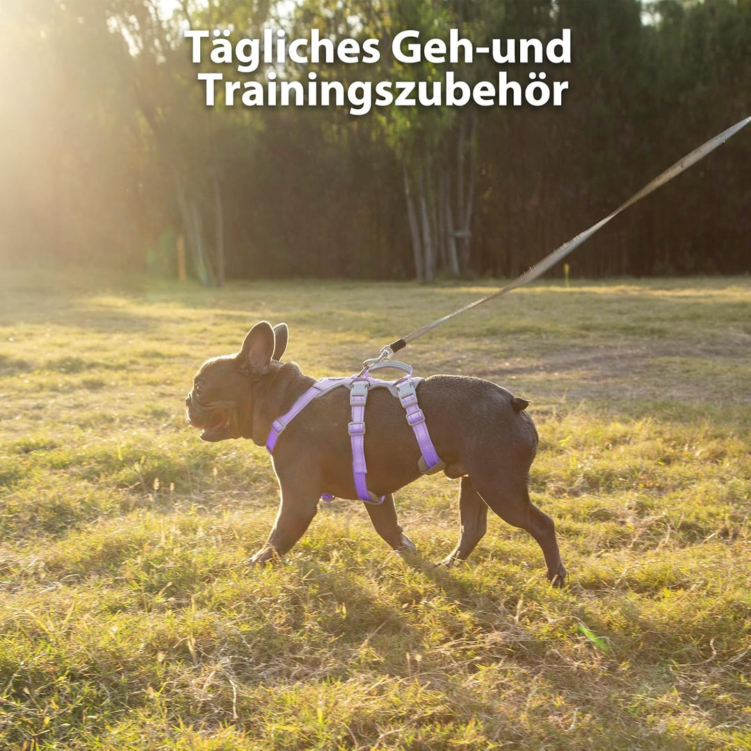 Huntboo Sicherheitsgeschirr Hund Ausbruchsicher, Panikgeschirr für Hunde, Reflektierendes Geschirr m