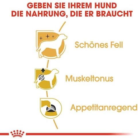 Royal Canin Poodle Adult | Doppelpack | 2 x 12 x 85 g | Nassfutter für ausgewachsene Pudel | Zur Unt