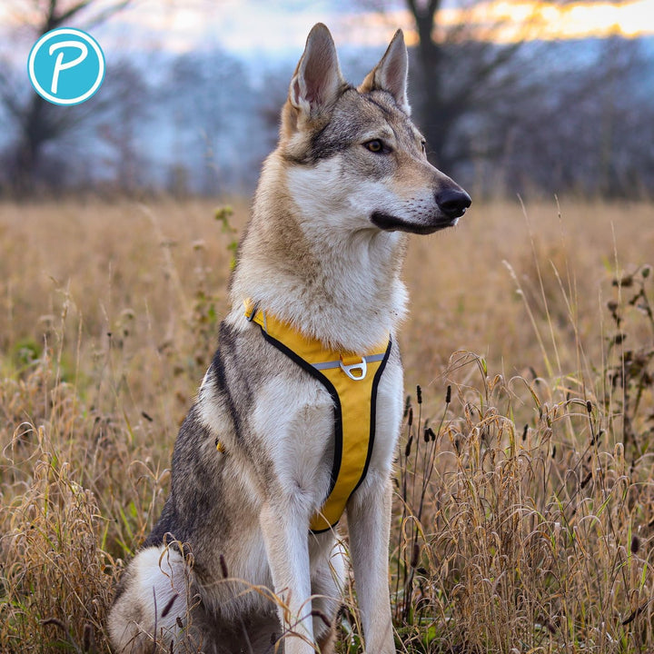Petlando Hundegeschirr Outdoor – stark reflektierend, gepolstert, atmungsaktiv, robust, stufenlos ve