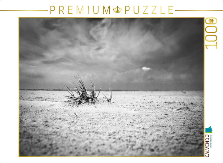 CALVENDO Puzzle Strandgeselle 1000 Teile Lege-Grösse 64 x 48 cm Foto-Puzzle Bild von Micaela ABEL, 1