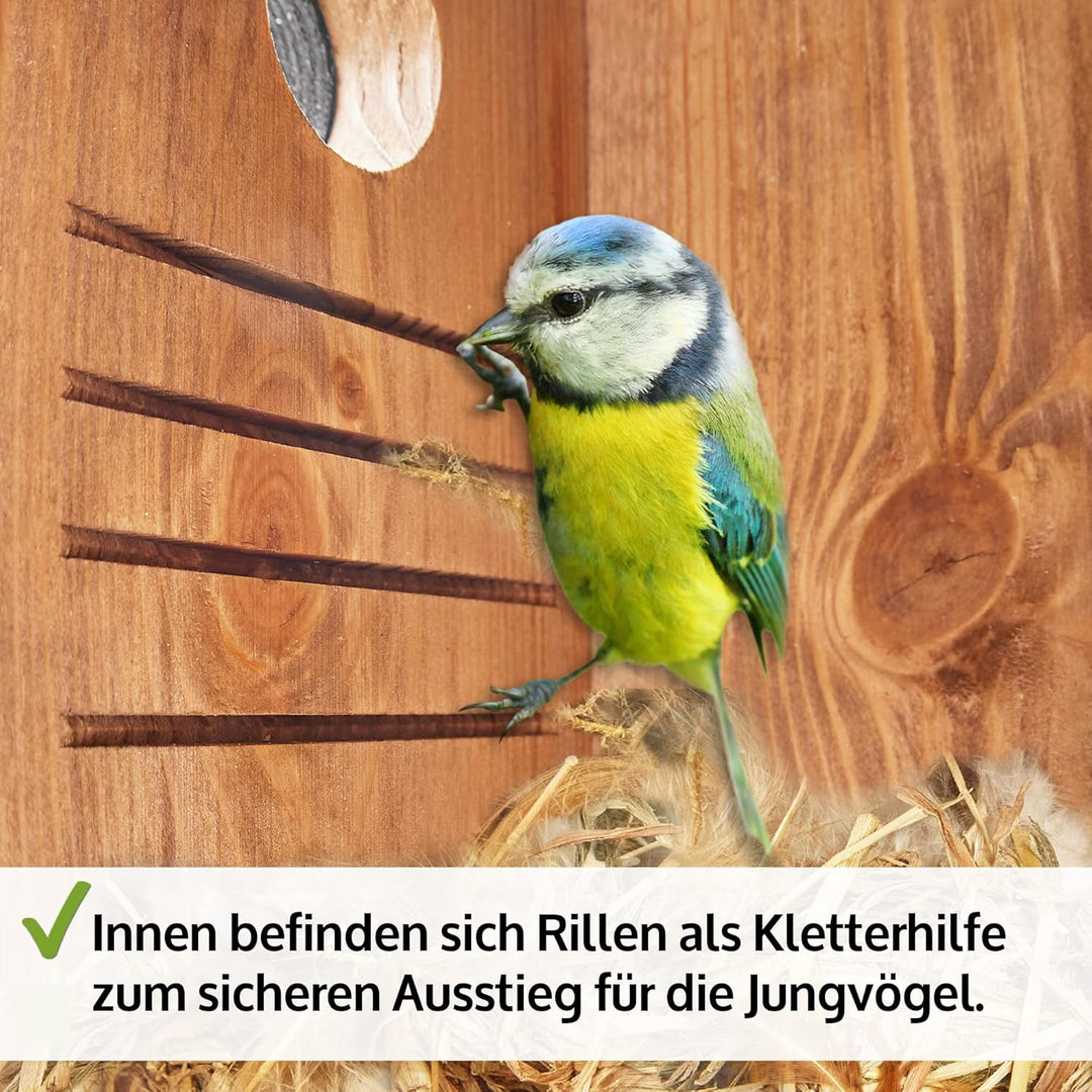 Zooprinz Nistkasten für Wildvögel – Massiv- Holz Vogelhäuschen mit sicherem Schutz gegen Nesträuber