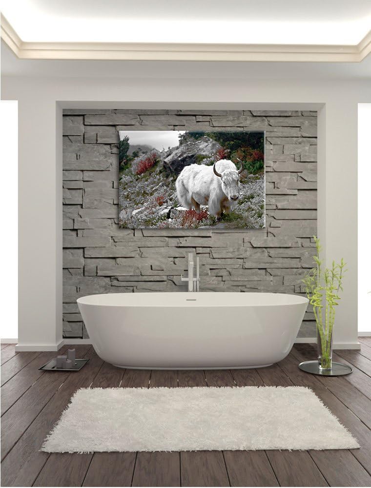 Pixxprint Schönes Yak Himalaya als Leinwandbild/Grösse: 100x70 / Wandbild/Kunstdruck/fertig bespannt