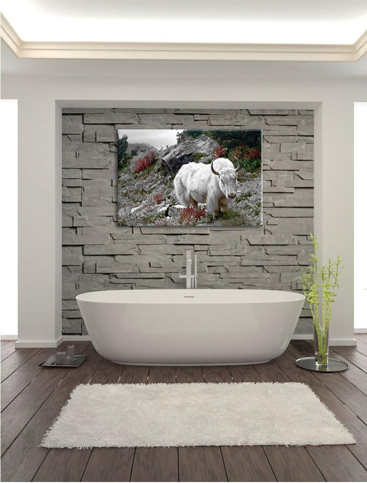 Pixxprint Schönes Yak Himalaya als Leinwandbild/Grösse: 100x70 / Wandbild/Kunstdruck/fertig bespannt