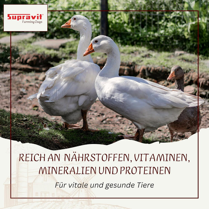 SUPRAVIT Weizen Futterweizen - 25kg aus regionaler Landwirtschaft - Ideales Einzelfuttermittel für T