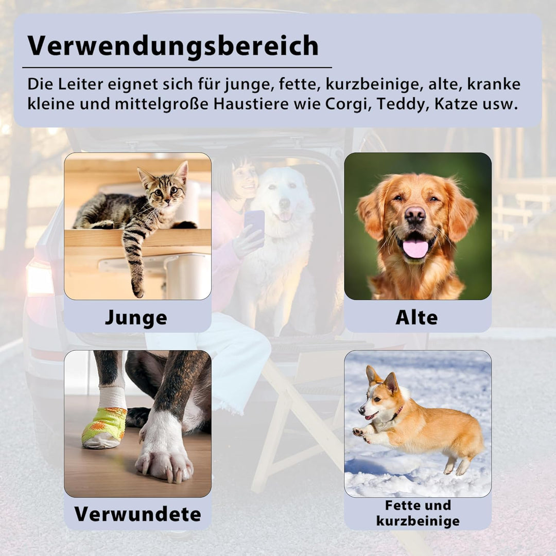 FIVMEN Hundetreppe 2 in 1 Hunderampe Holz Faltbar Höhenverstellbar Haustiertreppe mit Rutschfester T