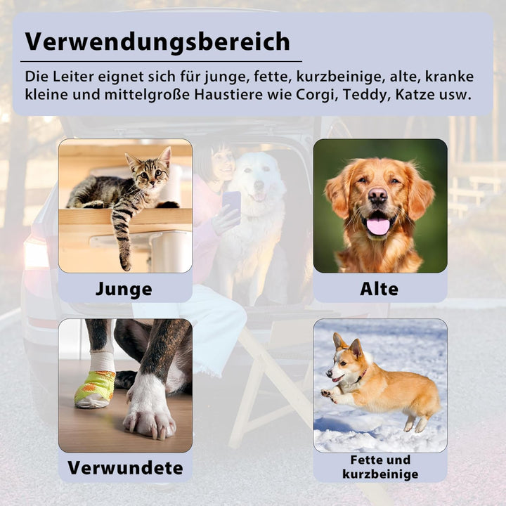 FIVMEN Hundetreppe 2 in 1 Hunderampe Holz Faltbar Höhenverstellbar Haustiertreppe mit Rutschfester T