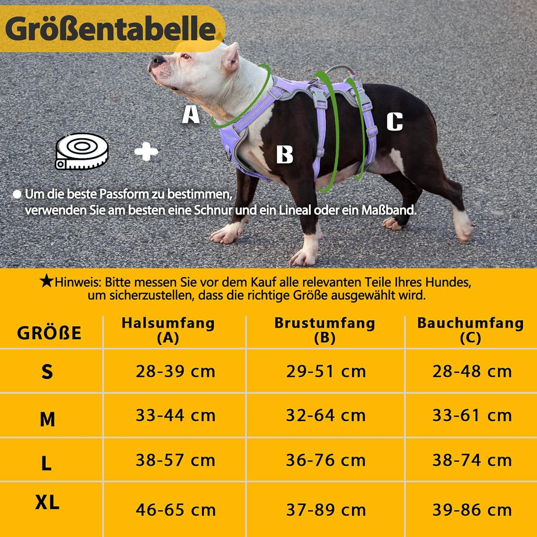 Huntboo Hundegeschirr, Hunde Sicherheitsgeschirr, Vollständig Reflektierendes Geschirr mit Gepolster