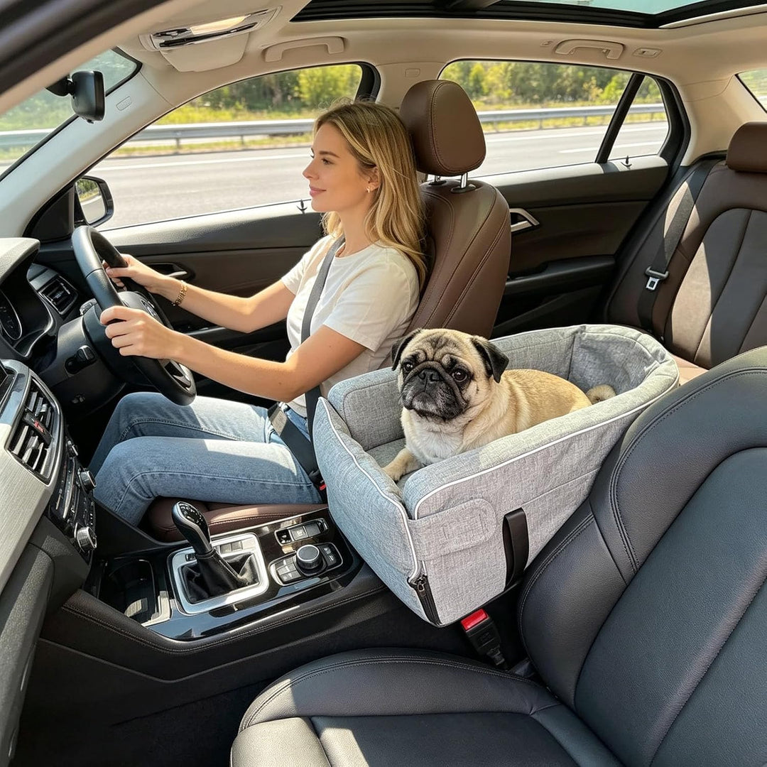 Hundesitz Für Bis Mittelgrosse Hunde,reisebett Für Haustiere Mit, Unter 14.3 Lbs Sitzhöhe 6", Zwei S