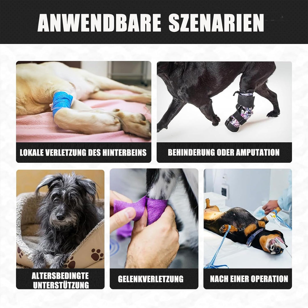 Hunde Tragehilfe, Verstellbarer Hundegeschirr für die Hinterbeine， Tragbarer Hunde Aufzugsgeschirr T