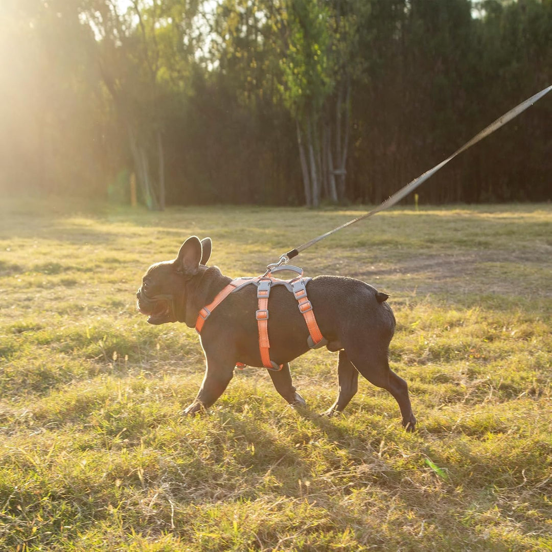 Huntboo Ausbruchsicheres Geschirr, No Escape Hundegeschirr,Reflektierendes Geschirr mit Gepolstertem