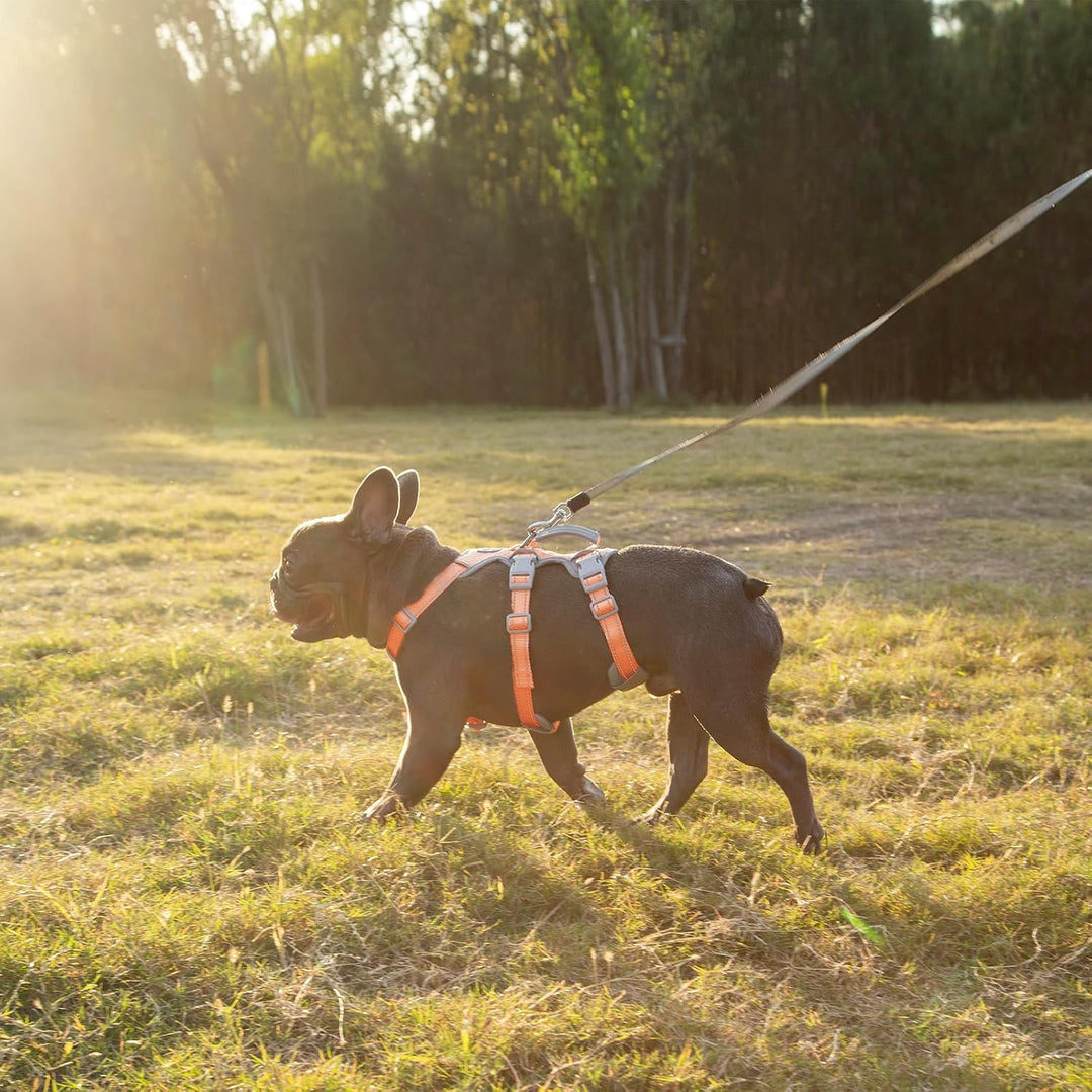 Huntboo Sicherheitsgeschirr Hund Ausbruchsicher,Sicheres Hundegeschirr No Escape,Reflektierendes Ges