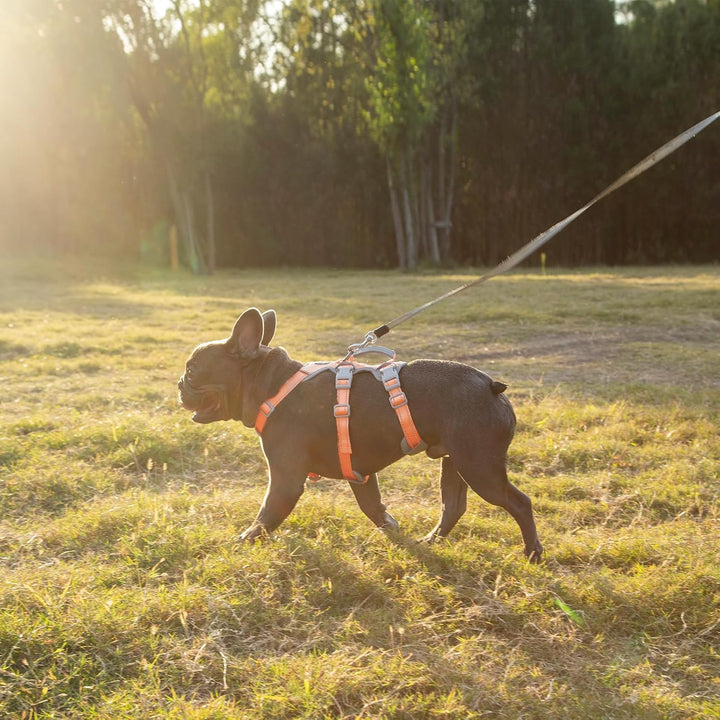 Huntboo Sicherheitsgeschirr Hund Ausbruchsicher,Sicheres Hundegeschirr No Escape,Reflektierendes Ges