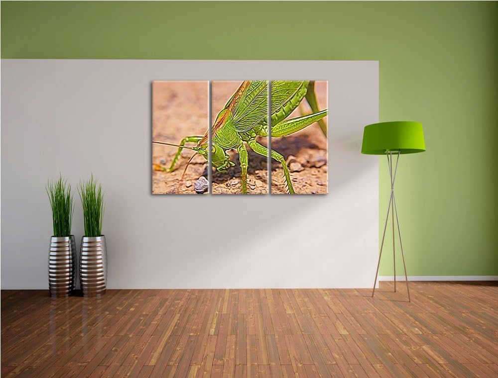 schöne Heuschrecke NewArt 3-Teiler Leinwandbild 120x80 Bild auf Leinwand, XXL riesige Bilder fertig