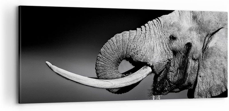 Panorama Bilder auf Leinwand 100x40cm Leinwandbild Elefant Stosszahn Natur Gross Wanddeko Bild Schla